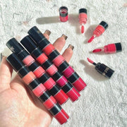 4 in 1 Waterproof & Long-lasting Lip Gloss Homzystore